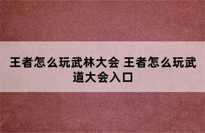 王者怎么玩武林大会 王者怎么玩武道大会入口